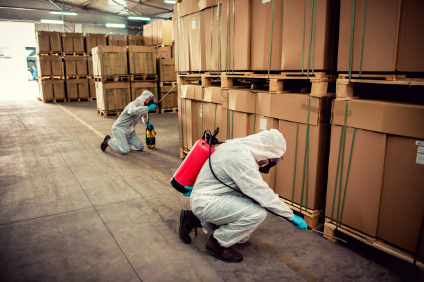 Best Pest Removal Services  in Bellmead, TX