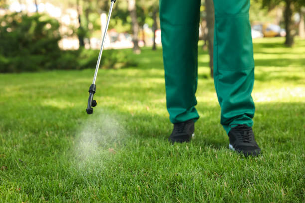 Best Insect Control  in Bellmead, TX