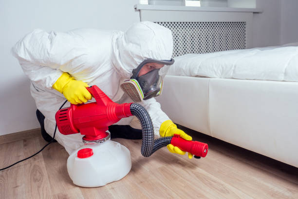 Reliable Bellmead, TX Pest Control Solutions