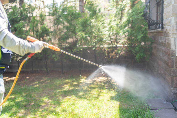 Best Pest Control for Homes  in Bellmead, TX