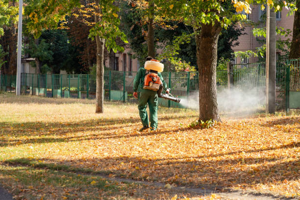 Wildlife Control Services in Bellmead, TX