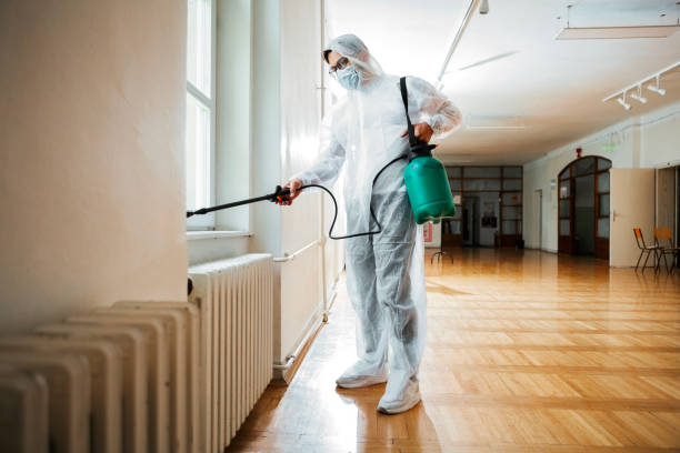Best Bed Bug Extermination  in Bellmead, TX